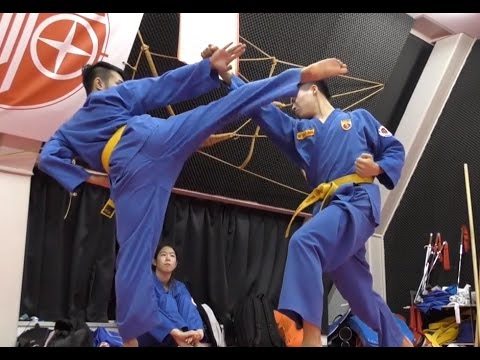 ボビナム PART11 VOVINAM ベトナム総合武術 格闘技