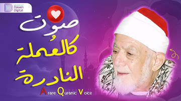 يا جمال القرآن! 💫 الشيخ أحمد محمد عامر , حصرياً رائعة سورة الأحقاف | Surah Al-Ahqāf