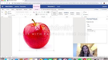 Adding Alt Text to a Microsoft Word Online Document