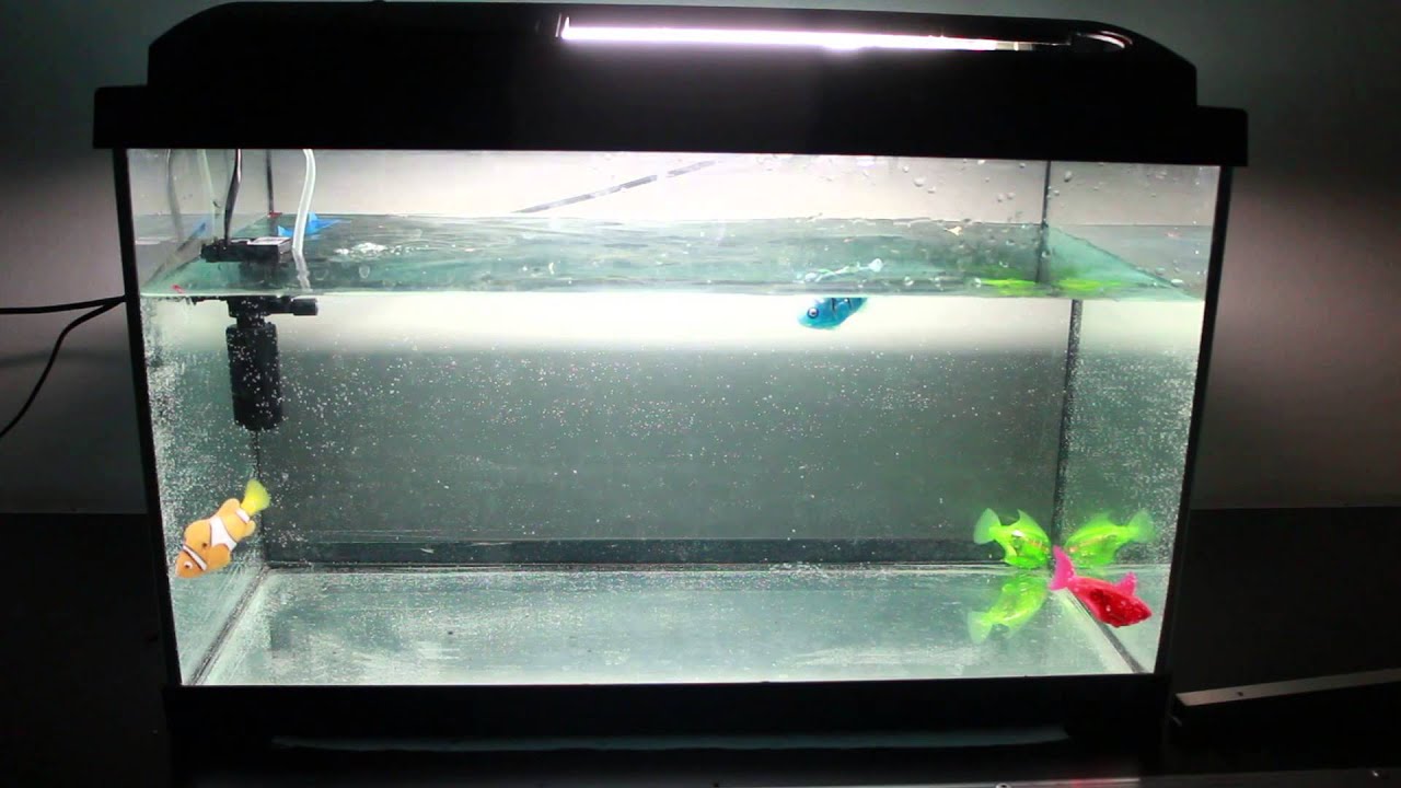 Robotic fish tank - YouTube
