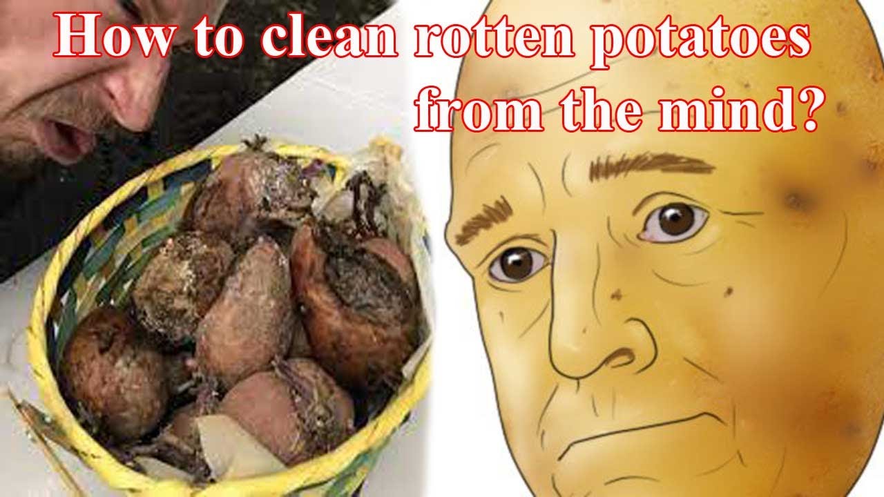 How To Clean Rotten Meat How To Clean Rotten Meat