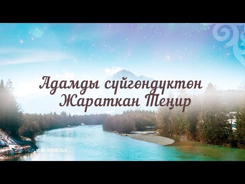 Video: Өзүнө ишенген адамды кантип аныктаса болот