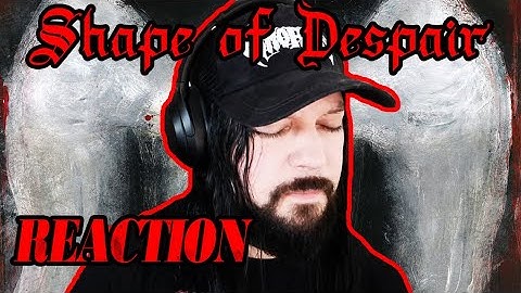 Shape of Despair - Fallen Reaction!!