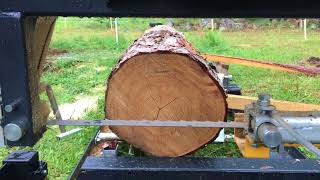 Bauholz für mehrere hundert Euro an einem Tag sägen