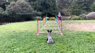 Foundation Jump Progressive grid 1 11.5.23