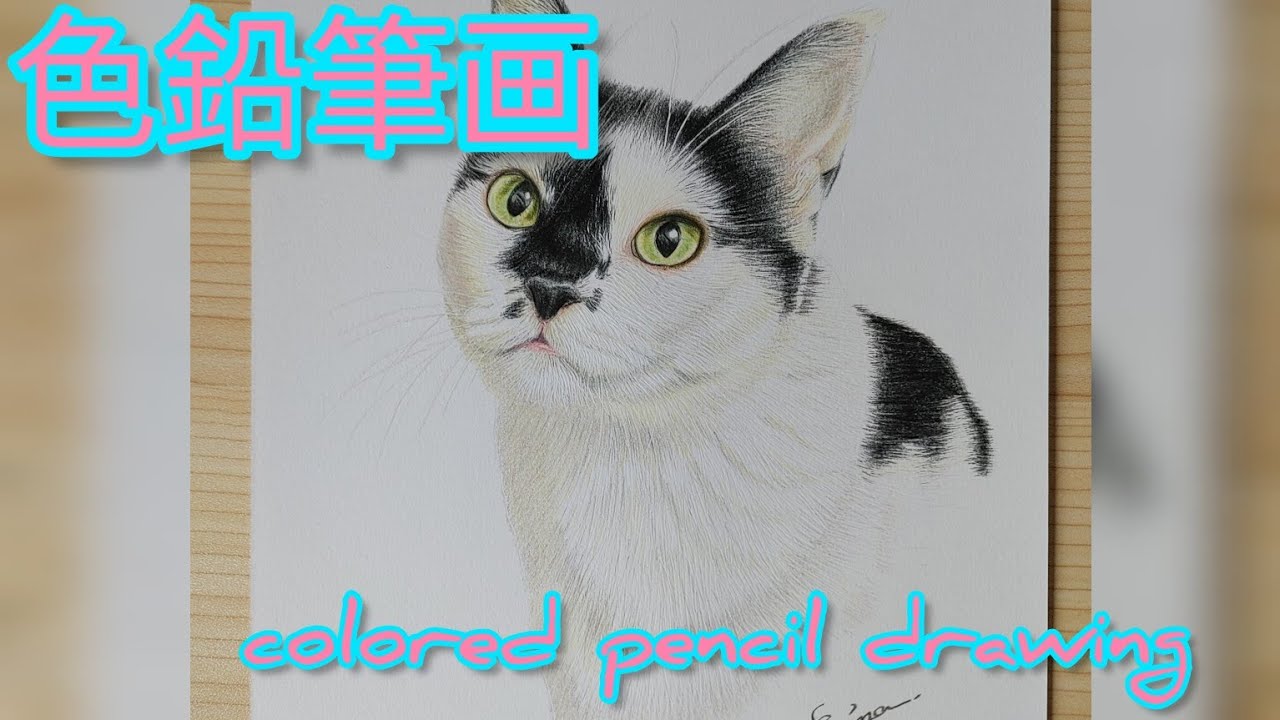 もふもふ特等席 色鉛筆画 色鉛筆画】colored pencil drawing【猫】 - YouTube