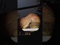 Tried standing still in front of a T-rex, it did not work #trex #dinosaur #jurassicpark #horror