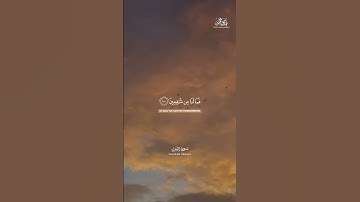 فَمَا لَنَا مِن شَافِعِينَ || طارق محمد || من سورة الشعراء
