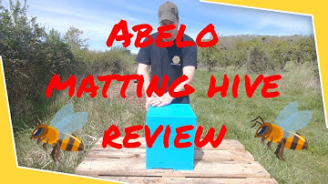 Beekeeping 2021 Abelo (Lyson) Mating Hive review #16