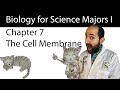 Chapter 7  membrane structure and function