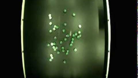 Wireless Connected Swarm with 40 e-puck robots