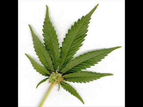 Marihuana - Piosenka