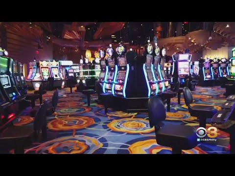 Dana White Wins $50,000 Blackjack Hand At Red Rock Las Vegas! #danawhite #blackjack #casino #maxwin