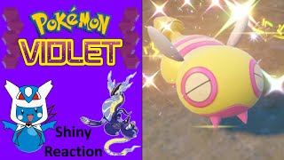 Pokemon Violet: Shiny Dunsparce Reaction