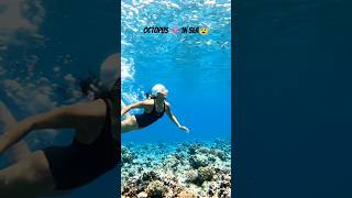 while swimming found octopus 😨🐙 #octopus  #travel #freediving #snorkeling #underwater