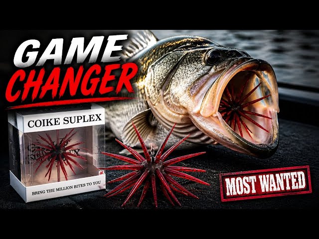 Bass Fishing With the Most Sought-After Lure | Coike Suplex - YouTube