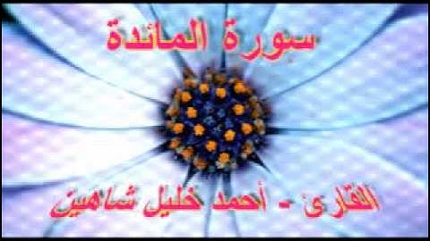 أحمد خليل شاهين   سورة المائدة 1 3