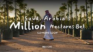 Beyond plantations: How Saudi Arabia is restoring millions of hectares of land
