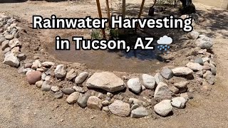 Rainwater Harvesting In Tucson, Az