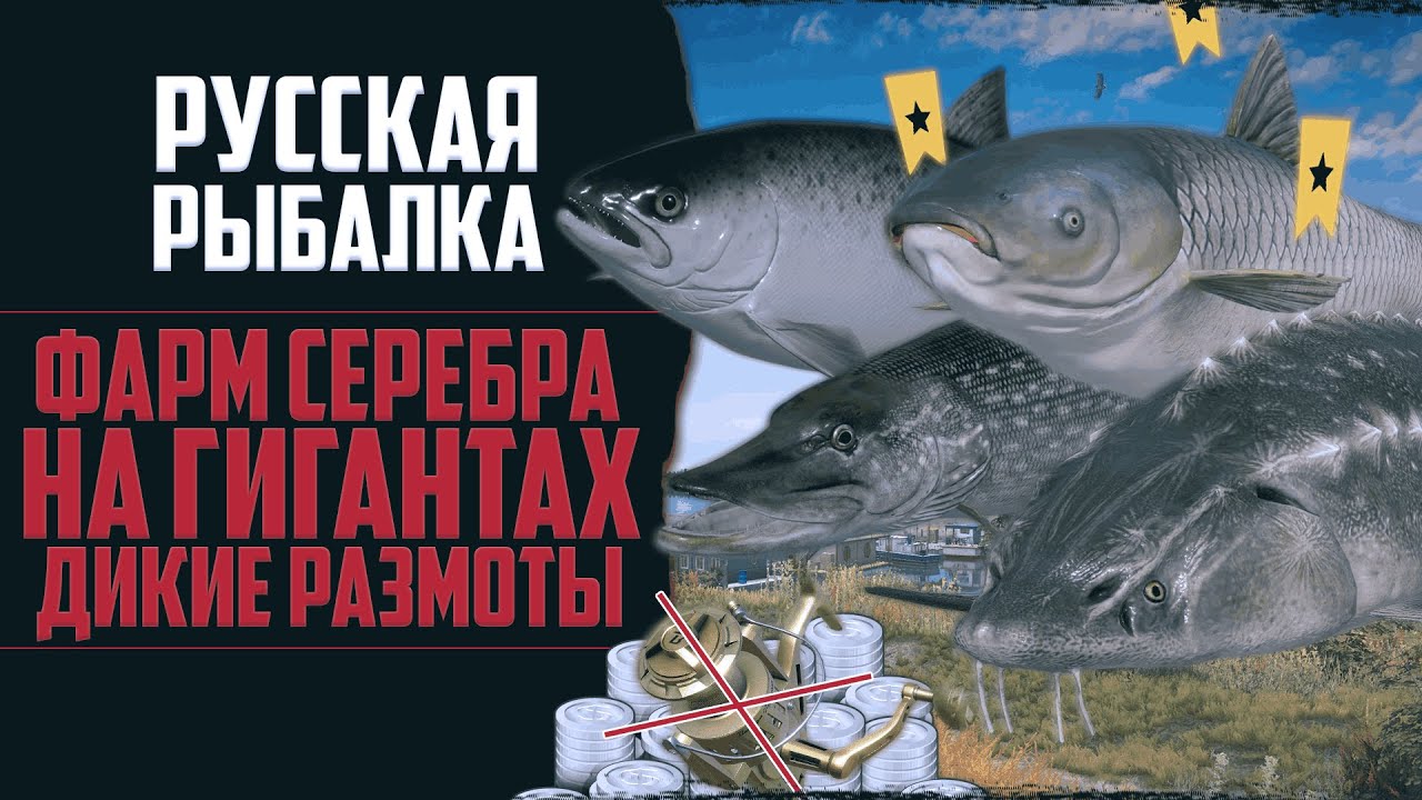 Новый Путь в РР4 #12 🔴 Трофейная Рыбалка | Гиганты Ломают Снасти | Прокачка Спиннинговой Ловли