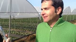 Videointervista Demetrio Nicodemo - resp. Tecnico produzione Nicofruit