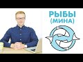 ЗНАКИ ЗОДИАКА:  РЫБЫ / МИНА (ДЖЙОТИШ)