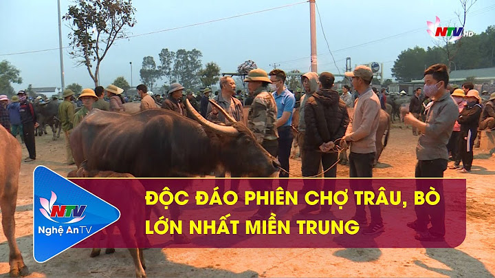 Con trâu miền trung gọi là gì năm 2024