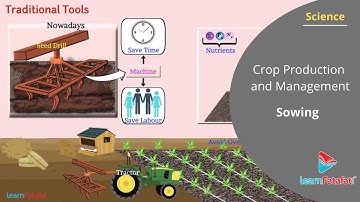 Crop Production and Management Class 8 Science - Sowing