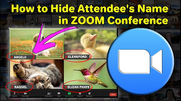 🔴 How to Hide (remove) Attendee