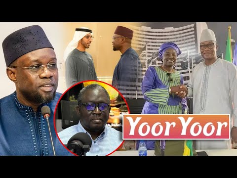 Yoor Yoor Voyage De Sonko à Abu Dhabi Sortie Douteuse De Ayib Daffé Me Moussa Diop