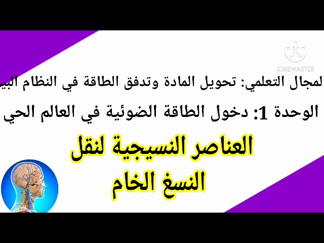 الدرس 12: العناصر النسيجية لنقل النسغ الخام|الناقص|الأوعية الخشبية دروس العلوم الطبيعية ل1ثانوي علمي