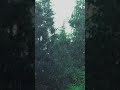 📚 Rainforest Rainstorm White Noise for Studying | Focus, Relax &amp; Sleep Deep | Anxiety Relief