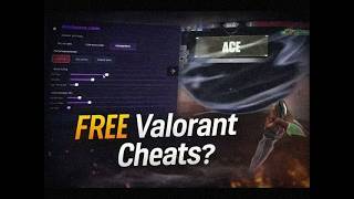 Byte Software Valorant Undetected Cheat