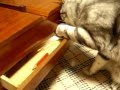 裁縫箱は楽しいよ