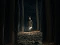 Trapped in the Woods: The Mystery of The Delivery | Crime Reta