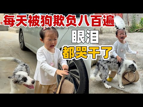 外婆在城里养伤 全家帮忙拔花生 爸爸一听到要干活早餐都不吃就骑车跑了