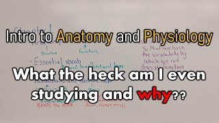 Intro to Anatomy and Physiology | What the heck am I even studying and why? by Anatomy Hero 937 views 5 months ago 9 minutes, 30 seconds