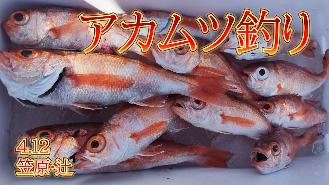 本間釣具店・フィッシャーズ｜新潟・富山・石川・福井の釣り情報・通販