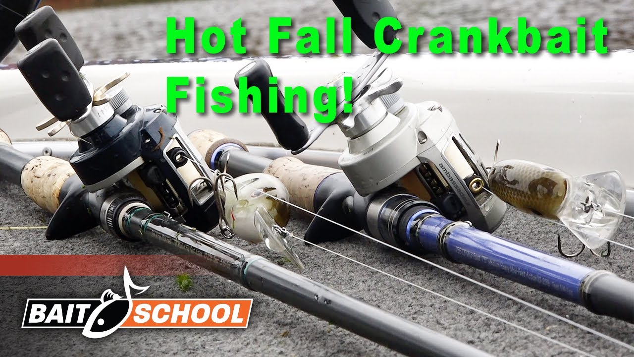 Early Winter Crankbait Strategies for Bass