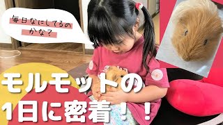 『モモちゃんの生活』（新小2　R・Cさん）