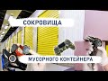 Сокровища мусорного контейнера