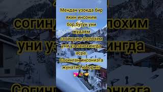 Мендан узокда бир якин инсоним бор бугун уни жудаям согиндим💐💖🤝согинганларга жунатиб юборамиз.