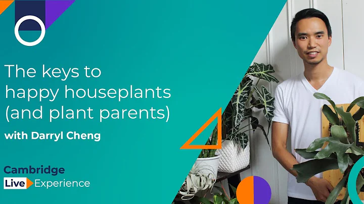 The Keys to Happy Houseplants (and Plant Parents) ...