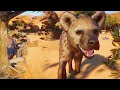 Spotted Hyena Habitat 🦴 | Planet Zoo Speed Build (Die Aarde Se Rand)