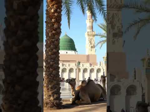 shah e Madina