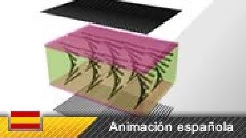 ¿Cómo funciona una pantalla LCD? (Animación)