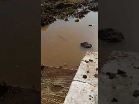 العبث بجماعة بني سيدال الجبل ضواحي الناظور