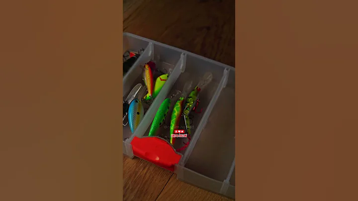 Perch Tacklebox🎣 All You Need for Perch Fishing #naturehooked