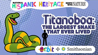 Titanoboa: The largest snake that ever lived