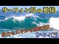 【ホントに49歳?!】11回世界チャンプのハワイでのサーフィンはレベルが違いました。。